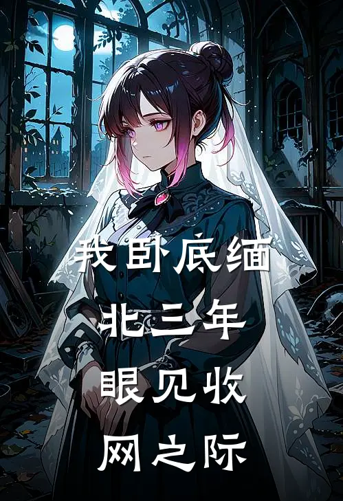 我卧底缅北三年，眼见收网之际