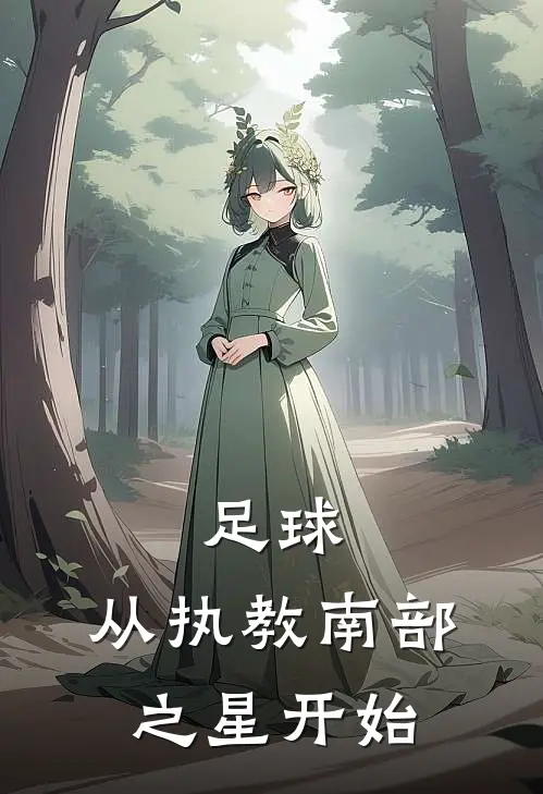 足球：从执教南部之星开始