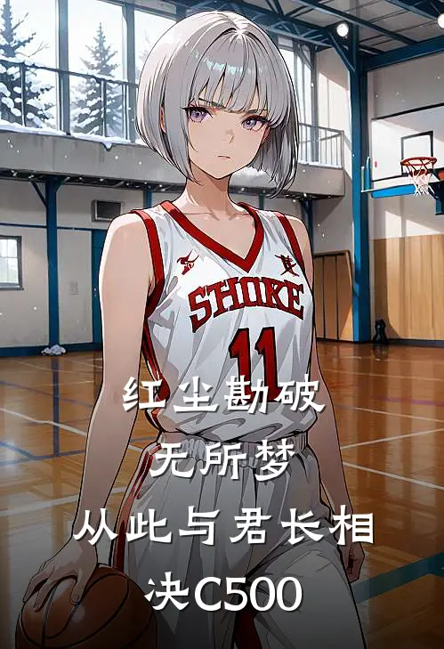 红尘勘破无所梦，从此与君长相决C500